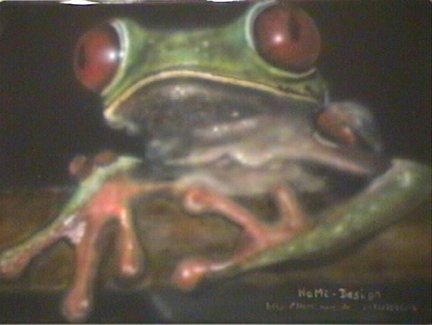 Frosch